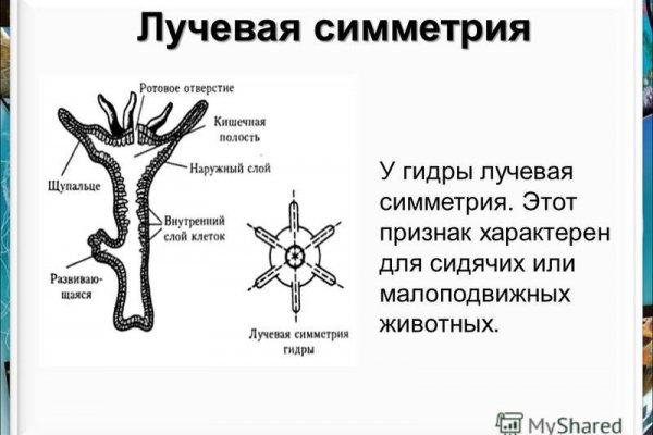 Кракен как проверить зеркало