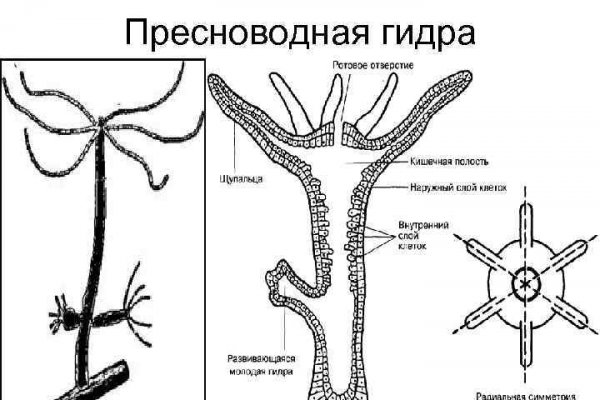 Магазин кракен даркнететамбов