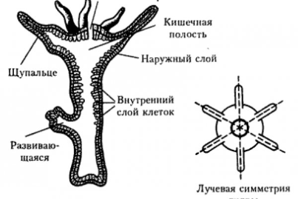 Кракен даркнет как зайти