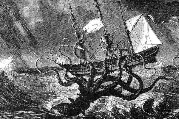 Kraken tor